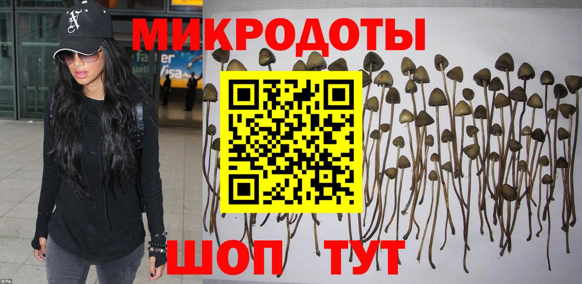 Галлюциногенные грибы мицелий  Вход с VPN  Коряжма  Галлюциногенные грибы мицелий 